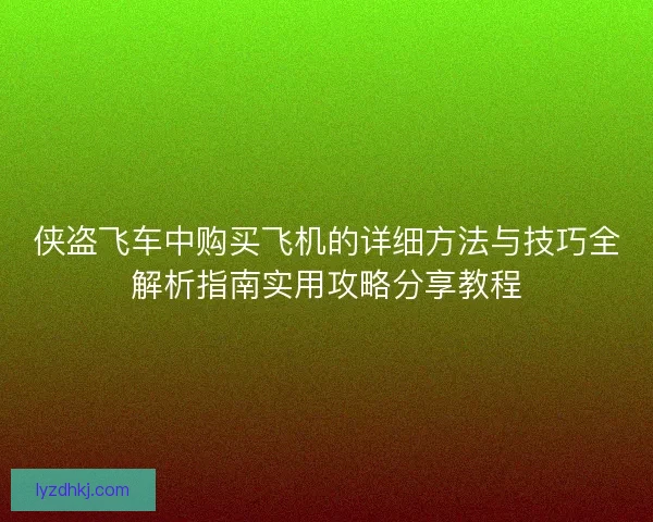 侠盗飞车中购买飞机的详细方法与技巧全解析指南实用攻略分享教程
